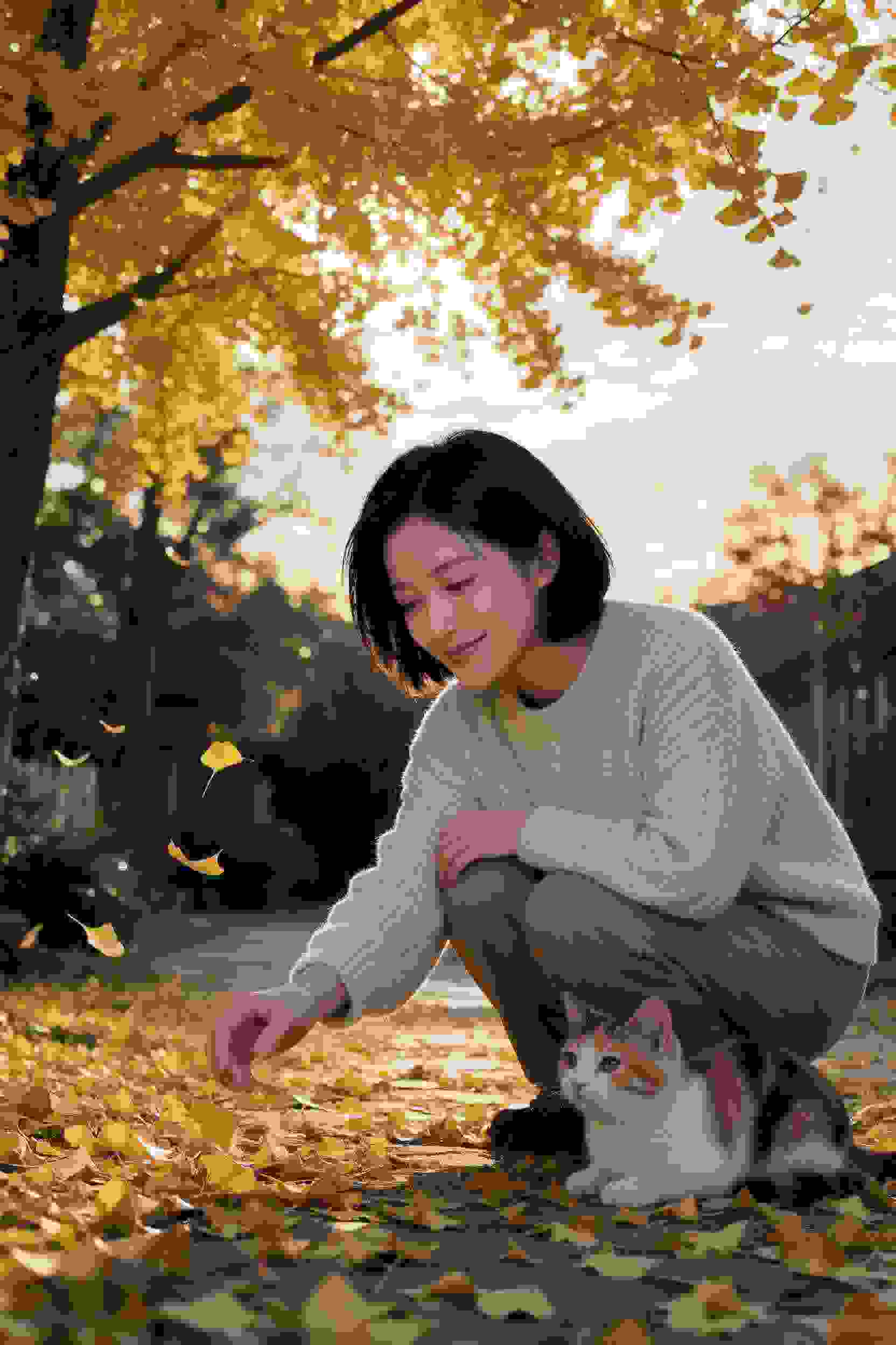 樱花落城